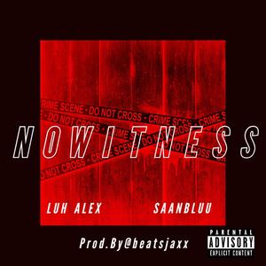 No Witness(feat. Saanbluu) (Explicit)