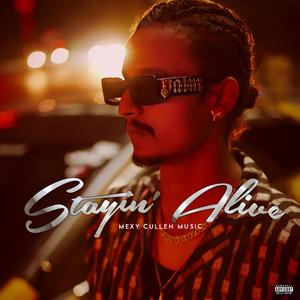 Privacy (feat. Armanii) (Explicit)