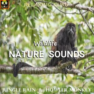 Wildlife Nature Sounds: Jungle Rain and Noises from Howler Monkey