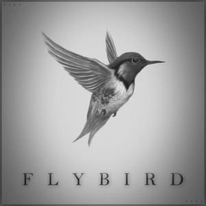 Flybird