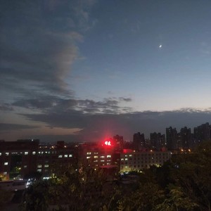 当年情