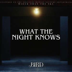 What The Night Knows (Radio Edit)