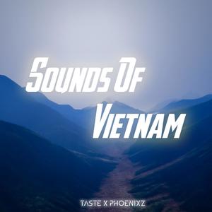 Sounds of Viet Nam (Explicit)