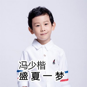 盛夏一梦