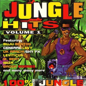 Jungle Hits, Vol. 1 (Explicit)