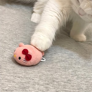 夏天的风 (纯音乐版)