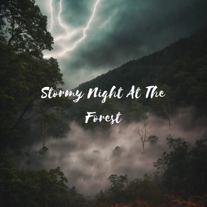 Stormy Night At The Forest