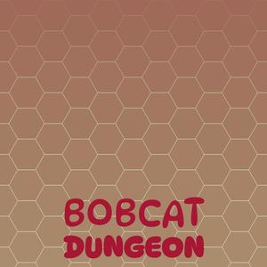 Bobcat Dungeon