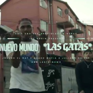 Las Gatas (feat. Drako Mafia, juliano chieff & lastkingwo) (Explicit)