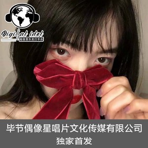 夜空中最亮的星 (DJ版)