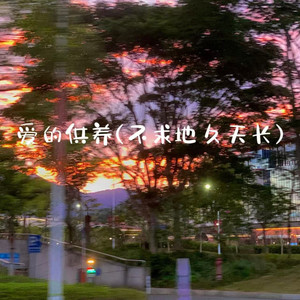 爱的供养(不求地久天长)