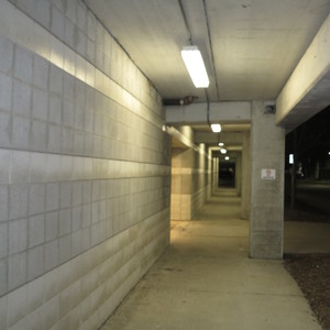 Blexxed Emeraldz Freestyle (Explicit)