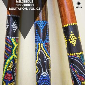 Didgeridoo Strings (Ethnic Electronica)