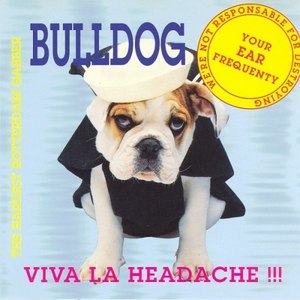 Viva La Headache!