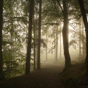 MC ND Le Revenant (Explicit)