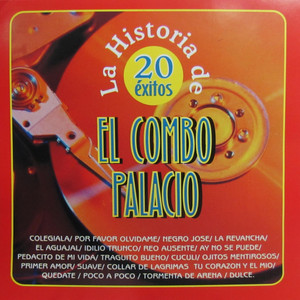 Pedacito de Mi Vida