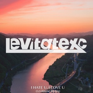 Gnash - I hate u, I love u (XC Remix)