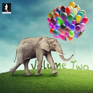 Wayfaring Stranger (AKA AKA & Thalstroem Remix)