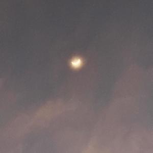 Moon Waves
