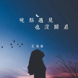 晚点遇见也没关系