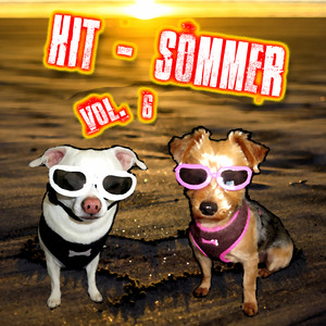 Hit-Sommer, Vol. 6