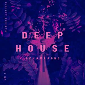 Deep-House and Champagne, Vol. 1 (Explicit)