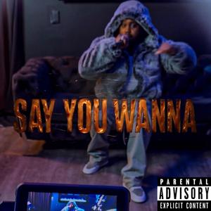 Say You Wanna