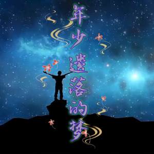 年少遗落的梦 (DJ版)封面