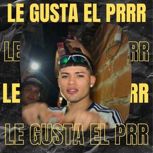 Le gusta el prrr