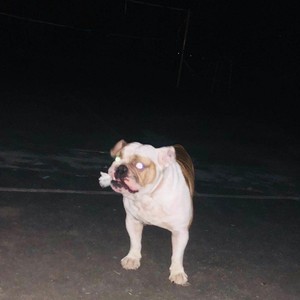 FOR GOLDEN (Demo)