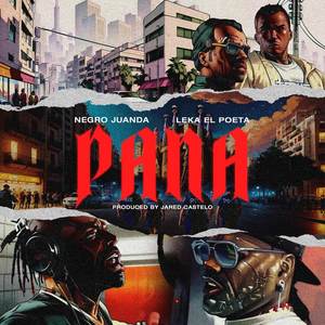 PANA (Explicit)