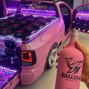 ELA QUER MAMAR (feat. DJ PR 062 & MC Rick|ELETROFUNK)