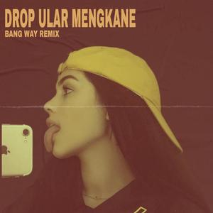 Drop Ular Mengkane