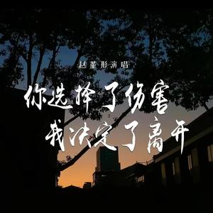 你选择了伤害我决定了离开