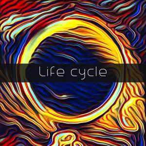 Life Cycle