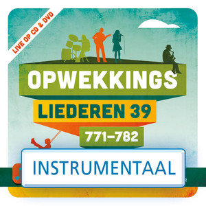 Een Doel(771)(Instrumentaal)