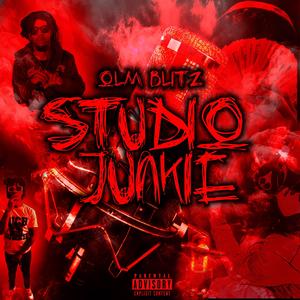 STUDIO JUNKIE (Explicit)