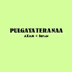Pulgaya Tera Naa(feat. Sibtain)