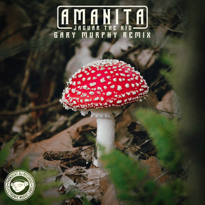 Amanita