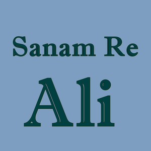 Sanam Re