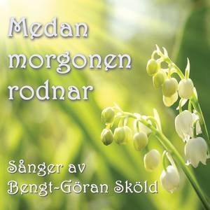 Medan Morgonen Rodnar