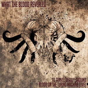 Blood on the turing machine