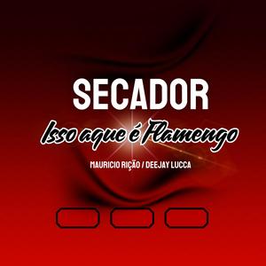 Secador Isso Aqui É Flamengo