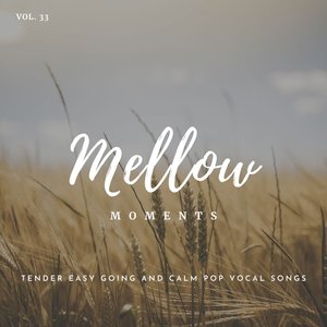 Mr. Invisible (Original Mix)