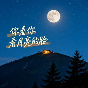 你看你看月亮的脸 (烟嗓版)