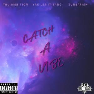 Catch A Vibe (Explicit)