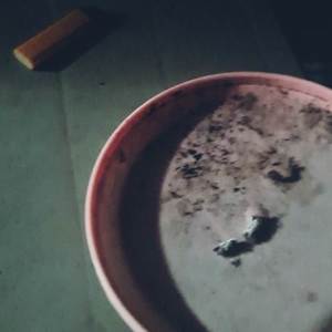 i really shouldn't stay