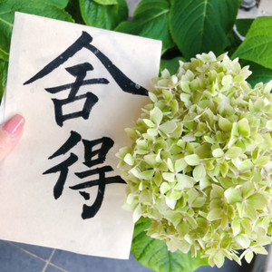 舍得 (用尽伤人的话去说)