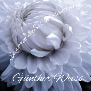 Es waren weiße Chrysanthemen