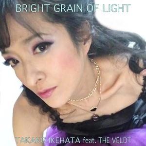 BRIGHT GRAIN OF LIGHT (feat. THE VELDT)